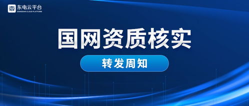 國(guó)網(wǎng)資質(zhì)核實(shí) 關(guān)于2019年財(cái)務(wù)信息審核的通知