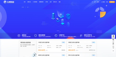 大網數據 網絡技術開發與信息咨詢的領航者