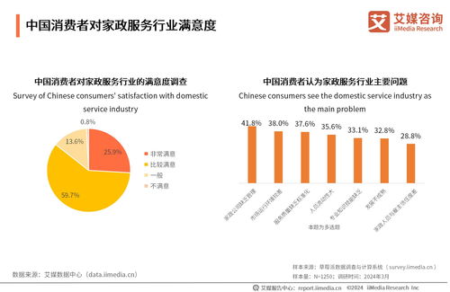 2024-2025年中國家政服務業發展及行業投資機遇分析 網絡技術驅動的變革與信息咨詢價值